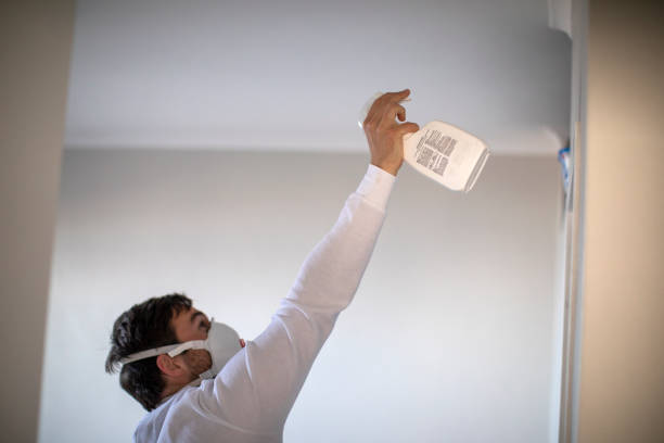 Best Same-Day Mold Removal  in Bolivar, TN